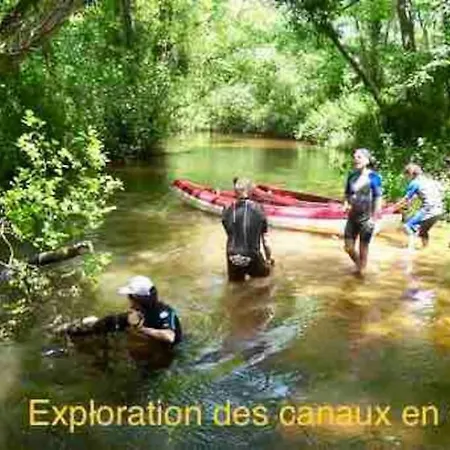 Vacances De Reve Entre Pinedes Et Ocean Gastes
