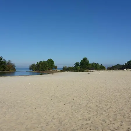 Vacances De Reve Entre Pinedes Et Ocean